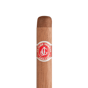 flor de cano petit coronas