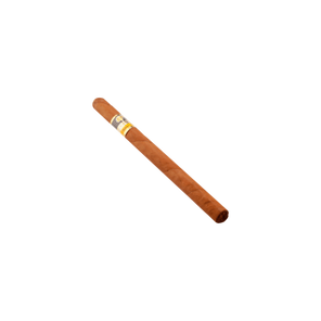 Cohiba lanceros