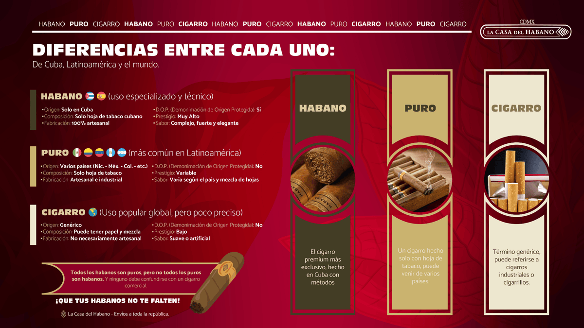 Imagen inferior