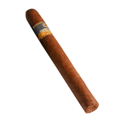 bolivar esplendidos