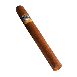 bolivar esplendidos