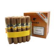 Cohiba Robustos
