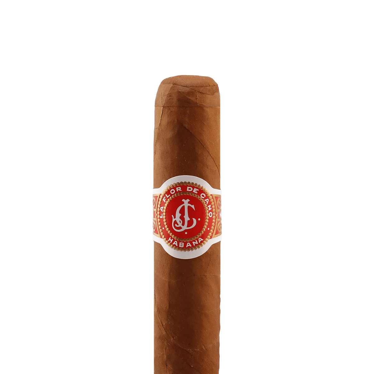 flor de cano elegidos