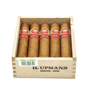 H. Upmann Magnum 54
