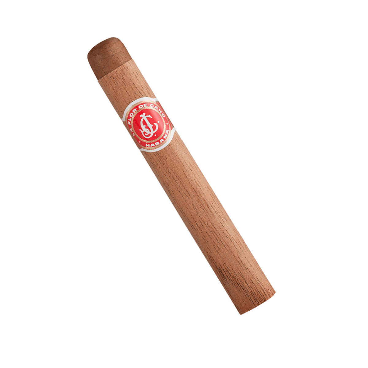 flor de cano petit coronas