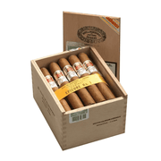 hoyo de monterrey epicure no 1 caja