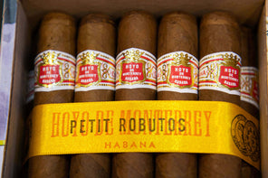 hoyo de monterrey petit robustos habanos