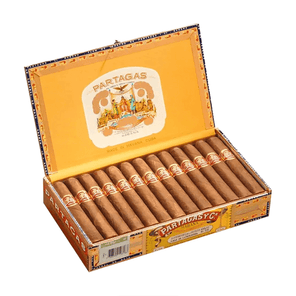 partagas-shorts-cb-caja-25