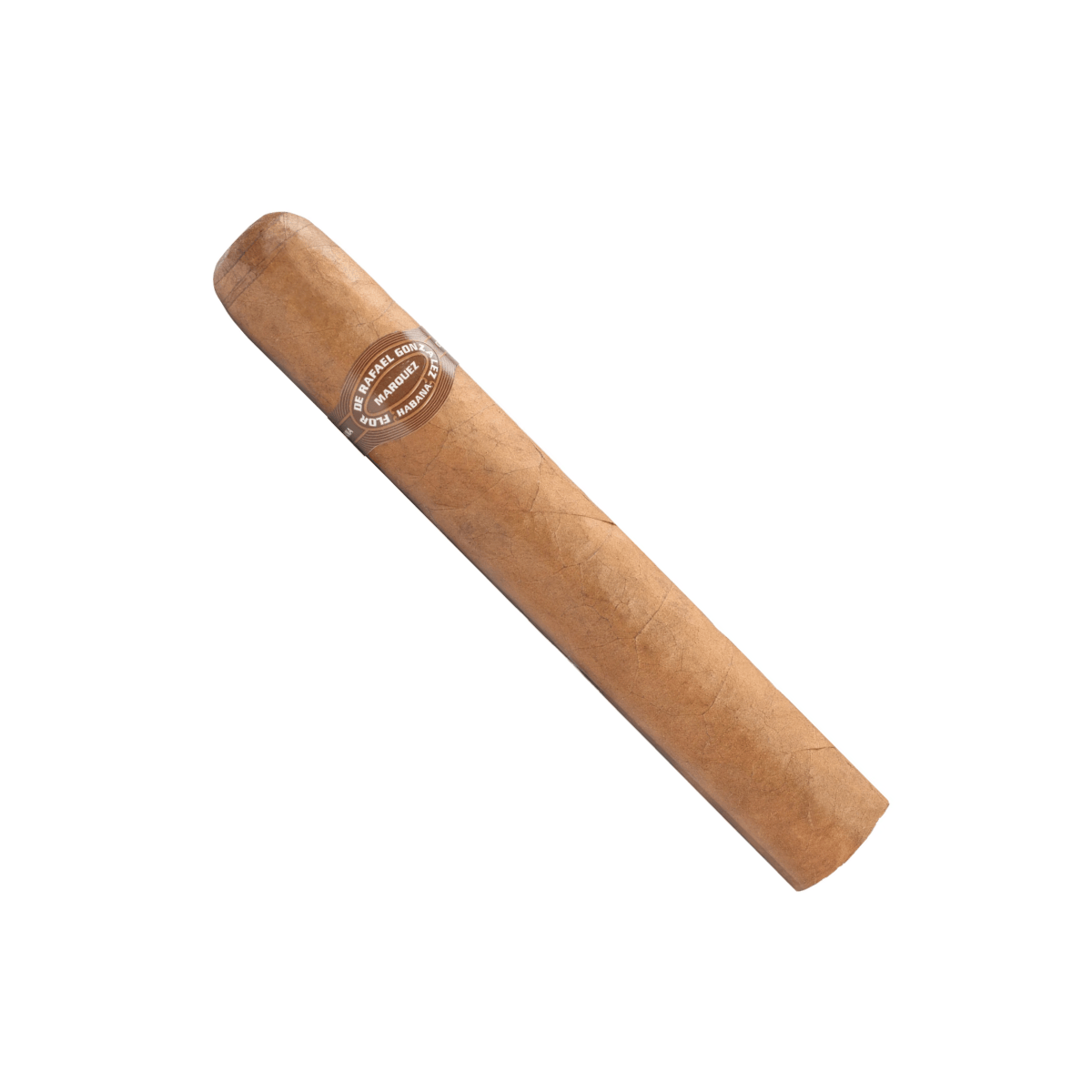 rafael gonzalez coronas de lonsdales habano