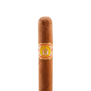 rey del mundo choix supreme